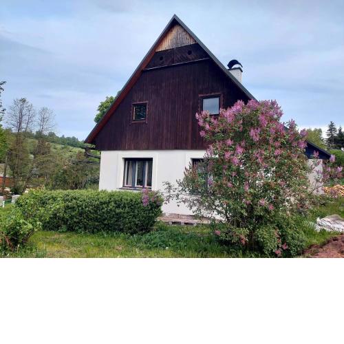 Apartmán U Kaštanu