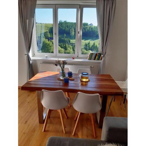 Apartmán u Kunštátského mlýna