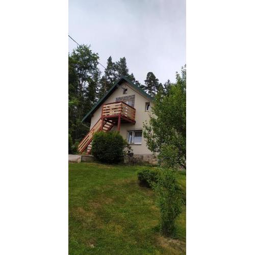 Apartmán u lesa