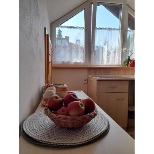 Apartmán u potoka