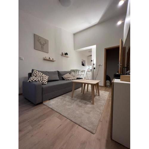 Apartmán U Potoka