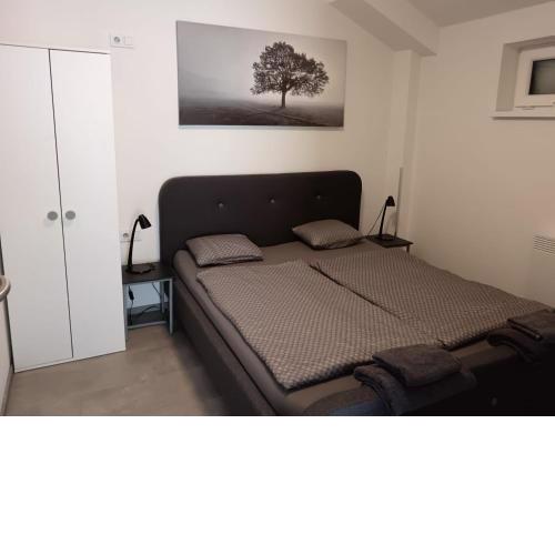 Apartmán u Révy
