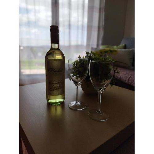 Apartmán u Šedů