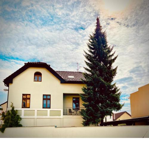 Apartmán U SMRKU