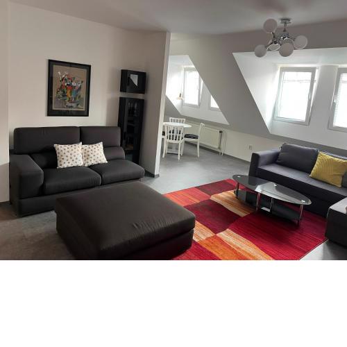 APARTMÁN U ZOUBKU