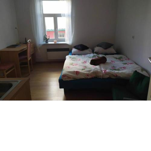 Apartmán v centru