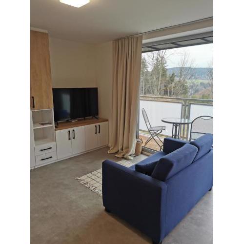Apartmán v Jizerkách