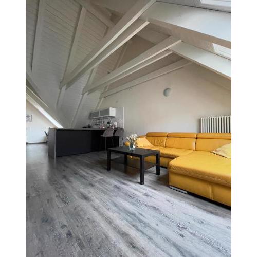 Apartmán v podkroví Malý Paríž