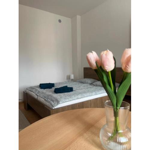 Apartman VAJB