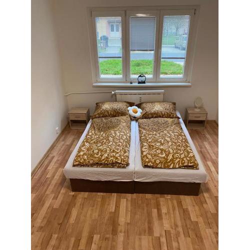 Apartmán ve městě Ostrov pro 3 osoby