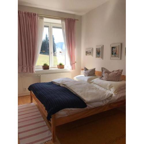Apartmán Velké Karlovice