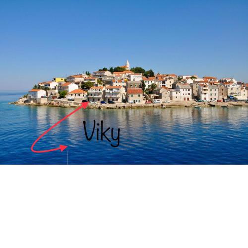 Apartman Viky