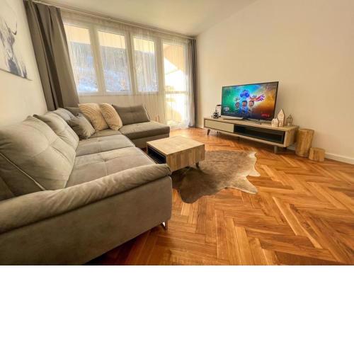 Apartmán Víšek