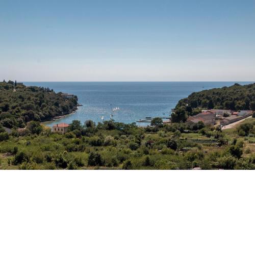 Apartman Vita