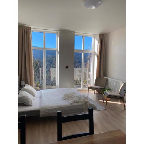 Apartmán Vyhlídka Hamry