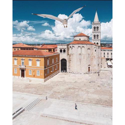 Apartman Zeus Zadar