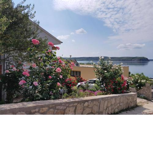 Apartman Zlata