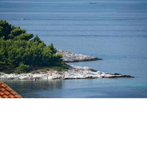 Apartman Zlatka