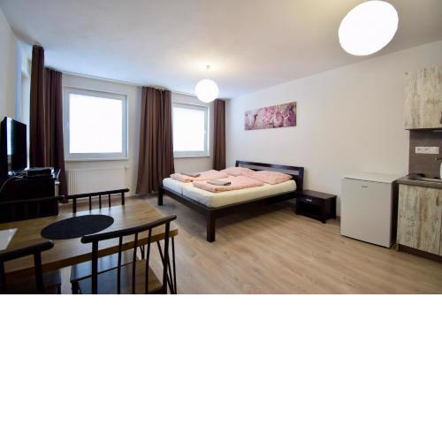 Apartmán Zlatovská 22B