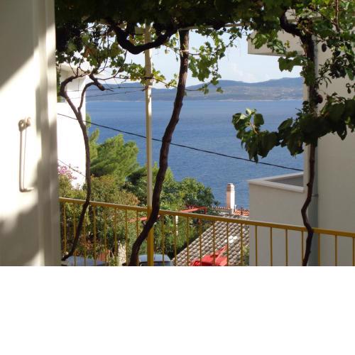 APARTMAN ZORAN MARUSIC