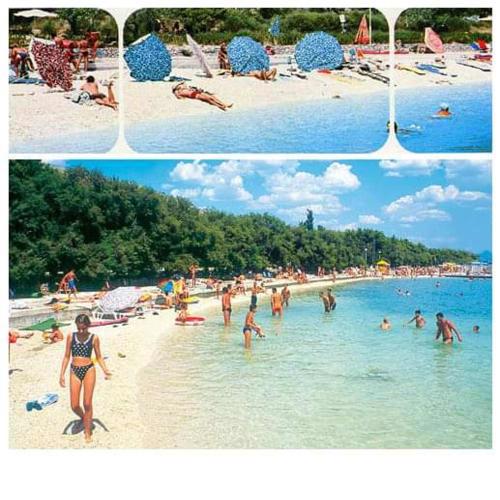 Apartmani BACIC HR