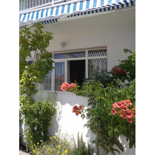Apartmani Buba