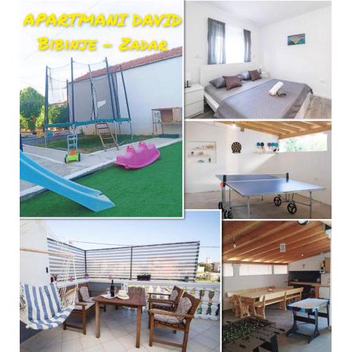 Apartmani David