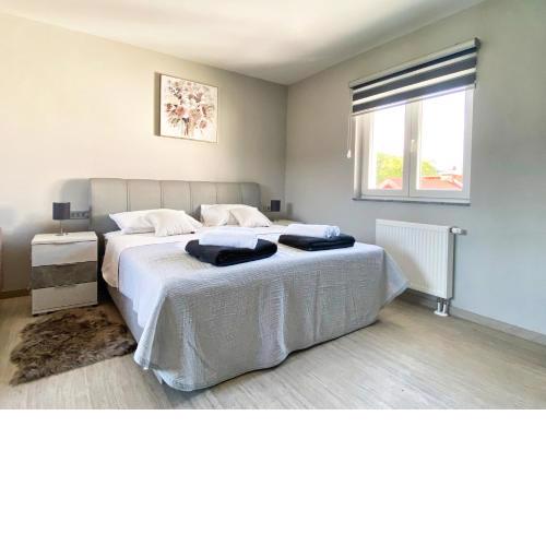 Apartmani Fenestra