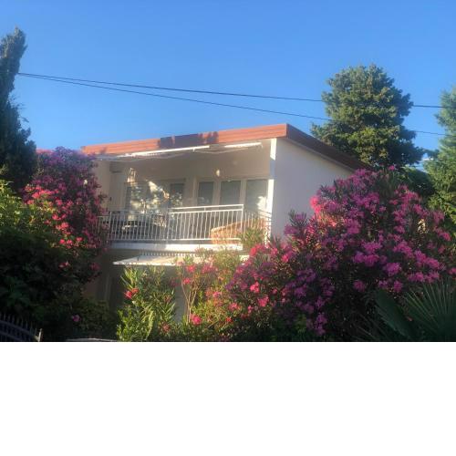 Apartmani Focic