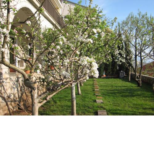 Apartmani Ivanka Prpić