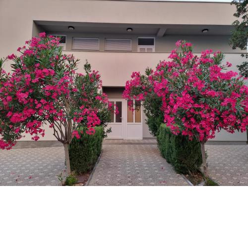 Apartmani Jozic