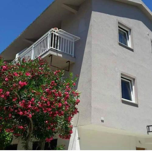 Apartmani Malbašić