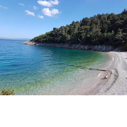 Apartmani Mariela