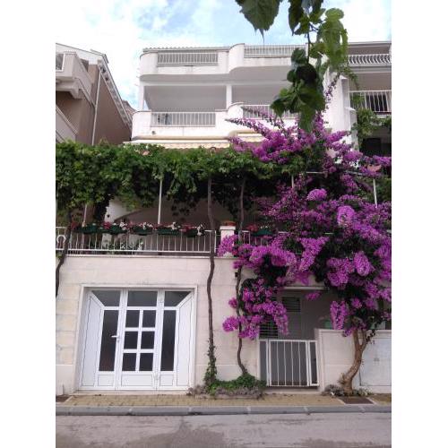 Apartmani Mišić