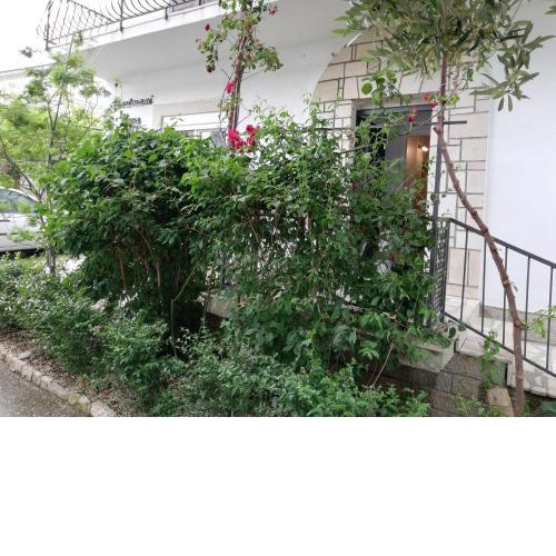 APARTMANI NOVA