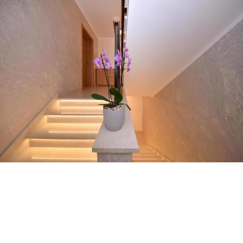 APARTMANI PETRA