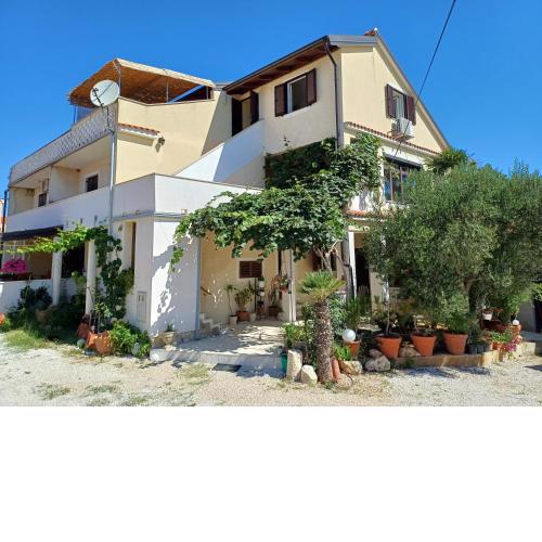 Apartmani Saška 1