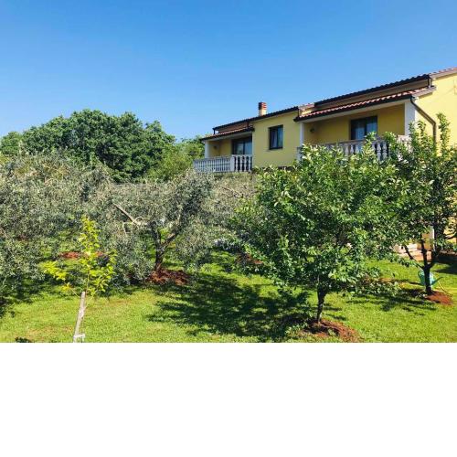 Apartmani Ulika