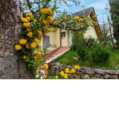 Apartmánový dům Vilémovice