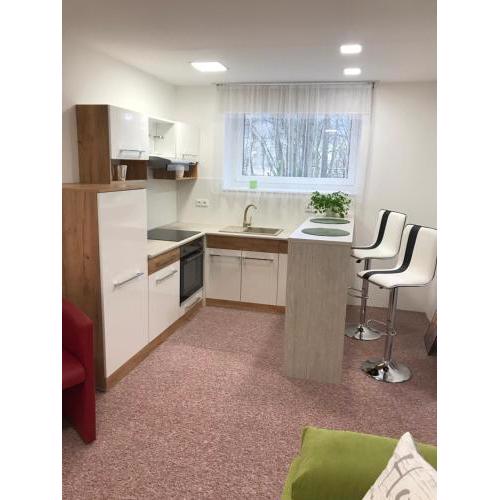 Apartmans Les