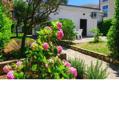 Apartmant Prosika