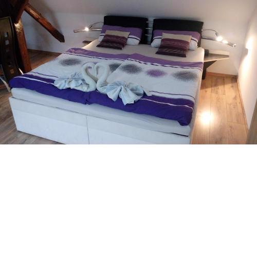 Apartmány Fialka