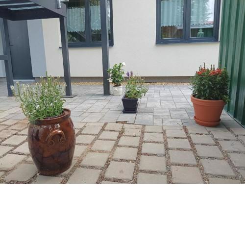 Apartmány MANDLE