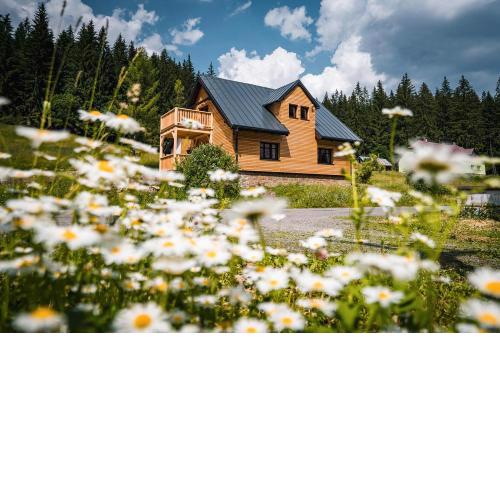 Apartmány Mezivodí