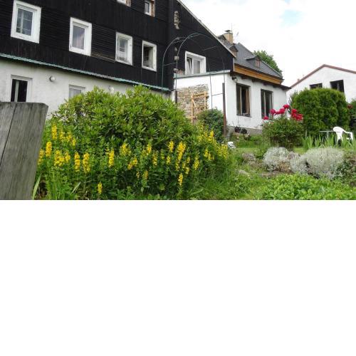 Apartmany Nemo