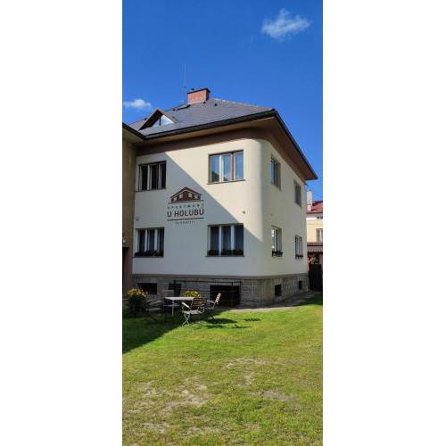 Apartmány u Holubů Na náměstí