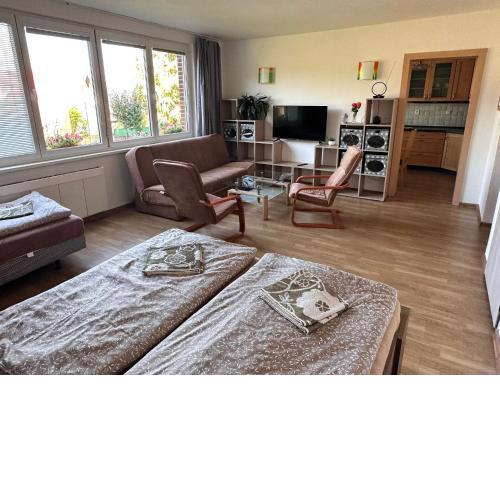 Apartmány U rybníka