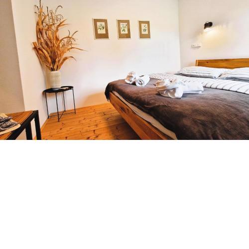 Apartmány Včelín