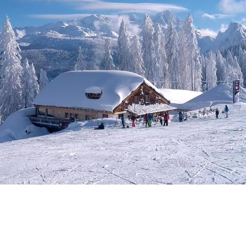 Apartment 14 Edelweiss Gosau
