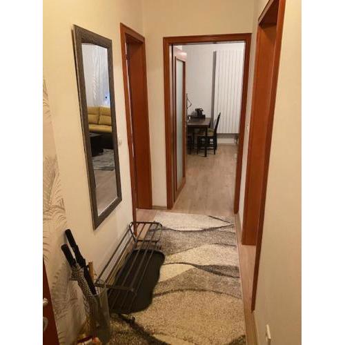 Apartment 1